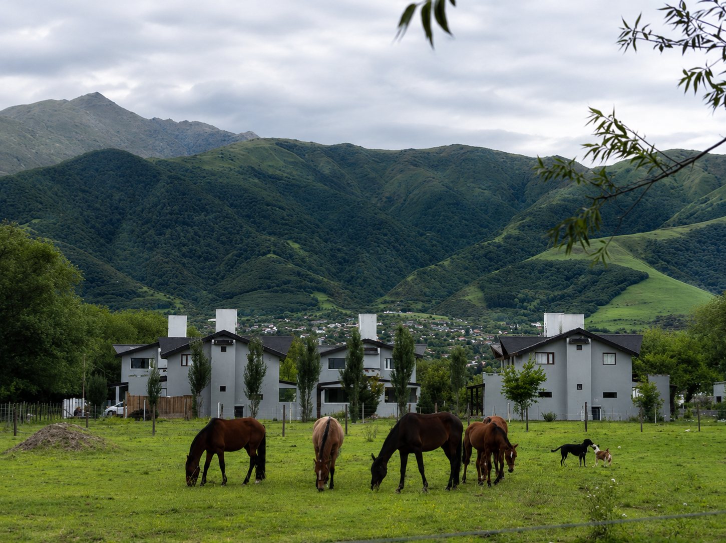 Las cabañas con caballos pastando y la sierra verde de fondo